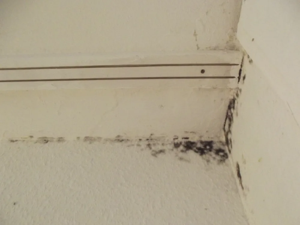 Technician in protective gear removing a mold-damaged wall in a Blairstown home